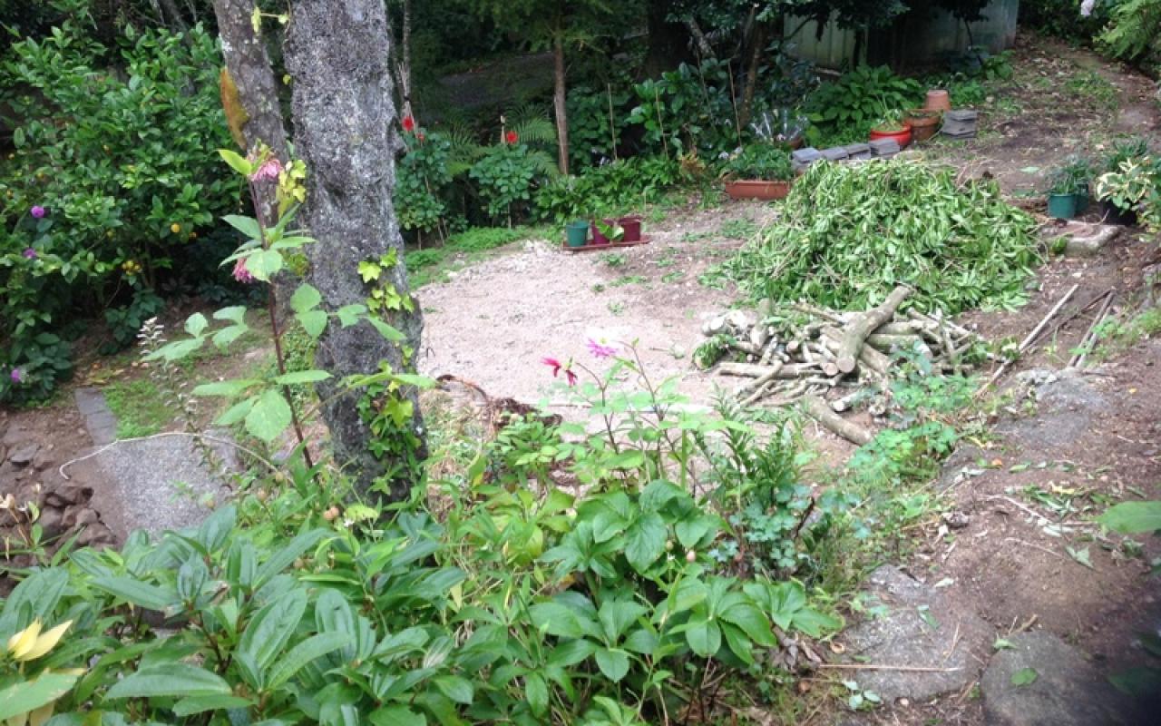 AH Khandallah Garden 01 3762