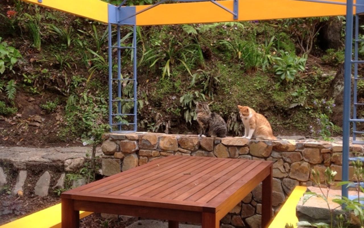 AH Khandallah Garden 07 5773