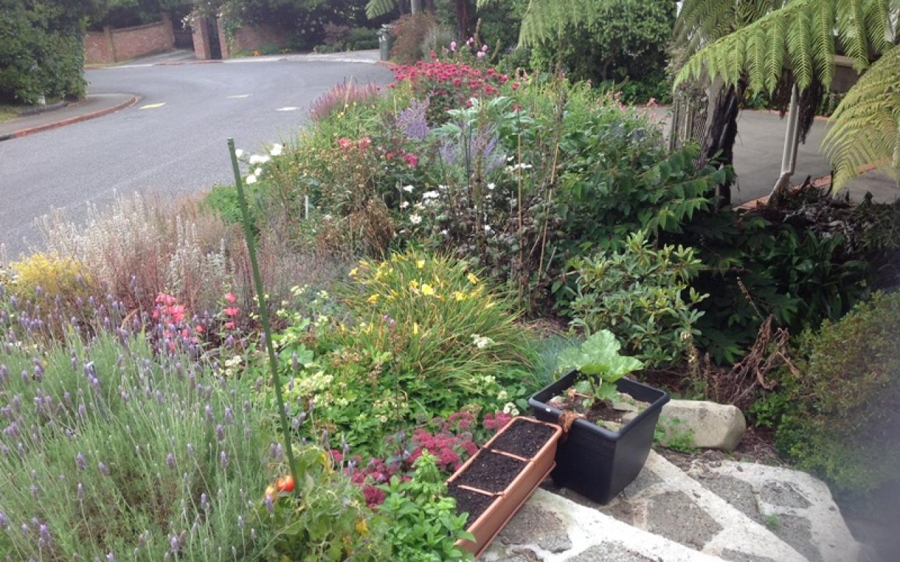 AH Khandallah Garden 09 3750