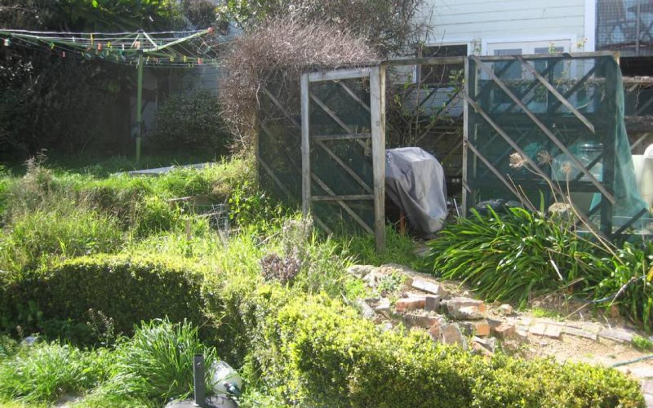 MT Victoria garden slider 05 2381