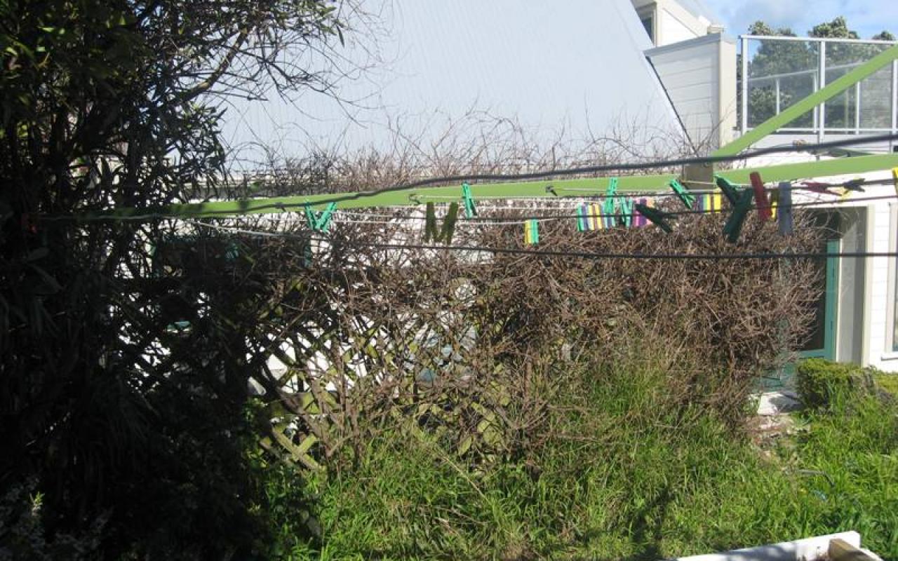 MT Victoria garden slider 11 2405